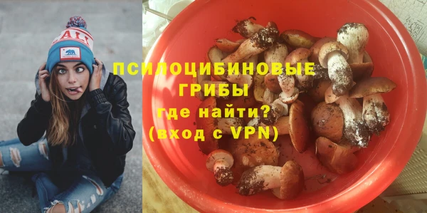 спиды Алзамай