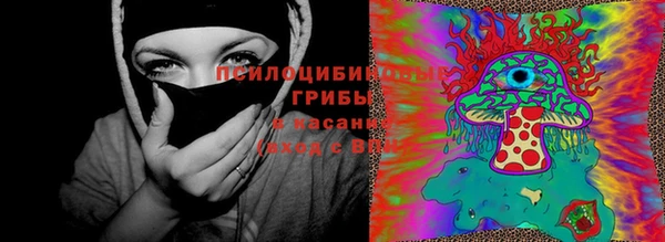 спиды Алзамай
