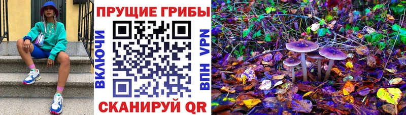Псилоцибиновые грибы GOLDEN TEACHER  MEGA ссылка  Дмитров 